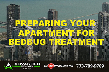 Preparing Your Apartment Bedbug Treatment chicago video